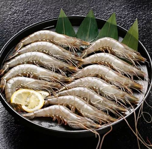 九田家9.9抵100的优惠券团购,九田家9.9抵100的优惠券唐山