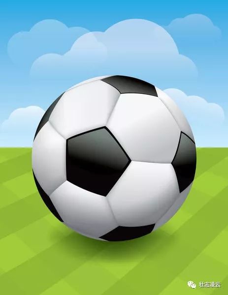 足协杯泰山队夺魁,足协杯夺冠的比赛