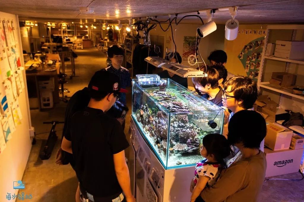 2019年我大学毕业后在日本开个海水店