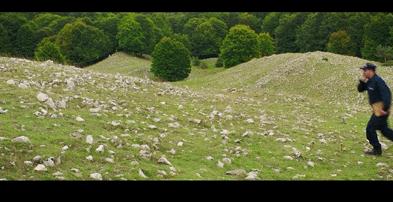 创造票房纪录的超燃电影,创下票房奇迹的超级大片