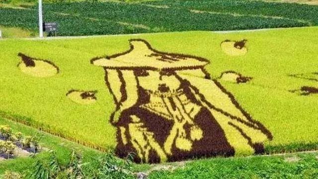 日本最精致农业在哪里,日本农业的精耕