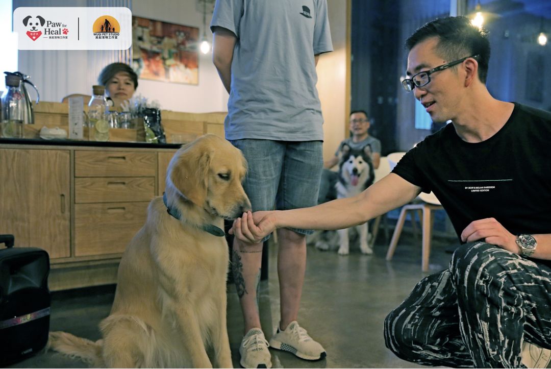 用生命影响生命朗诵央视,用生命影响生命手语朗诵