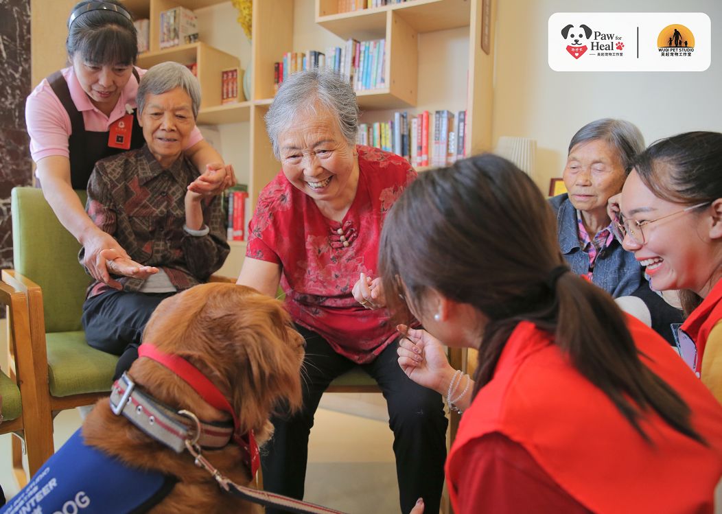 用生命影响生命朗诵央视,用生命影响生命手语朗诵