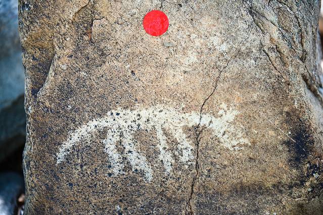 北纬38度仰望星空,北纬38度看北极星