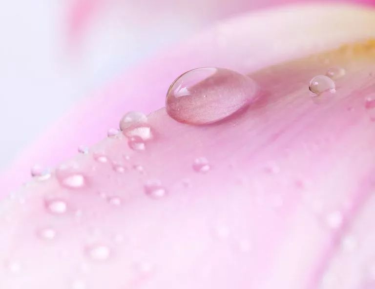 法国花水,法国花水怎么样