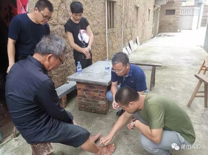 漳州有种小小的黑色虫子咬人很痒,福建漳州虫子