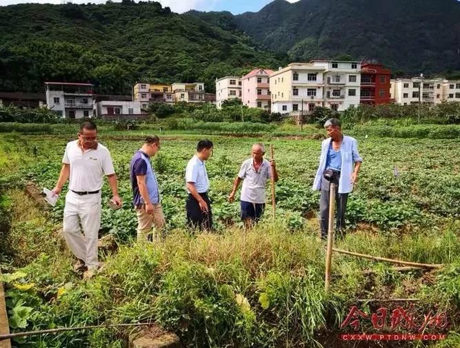 漳州有种小小的黑色虫子咬人很痒,福建漳州虫子