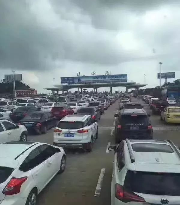 提醒吃海鲜的人们,广西开海节吃海鲜