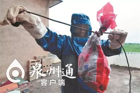 当心有毒虫,毒虫出没一晚上4人被咬紧急送医