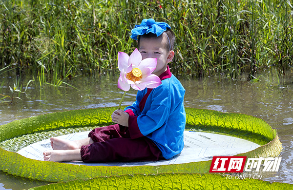 望城好看的取景地,长沙莲花景点