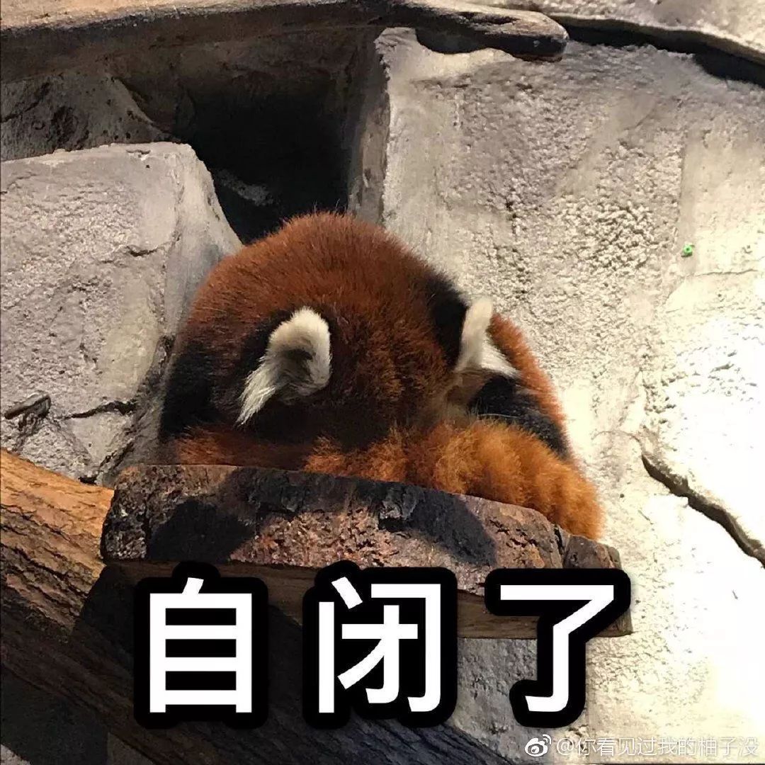 报考会后悔的专业,报考专业后悔率