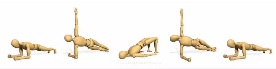 平板支撑交替摸肩练什么,平板支撑可以练腹直肌吗