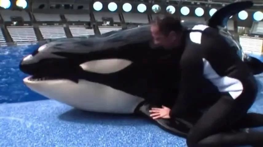 丧心病狂！每帧画面都在捅刀子，多少人忽视了这些人间惨剧…