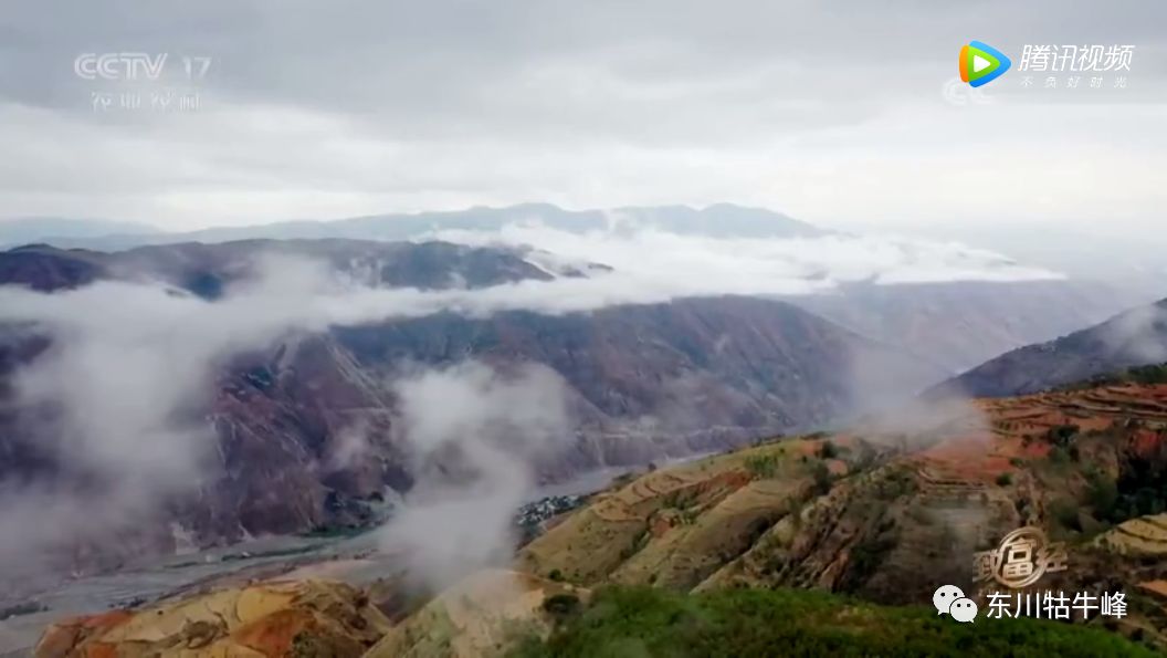 东川茶花仙子,茶花仙子诗全文
