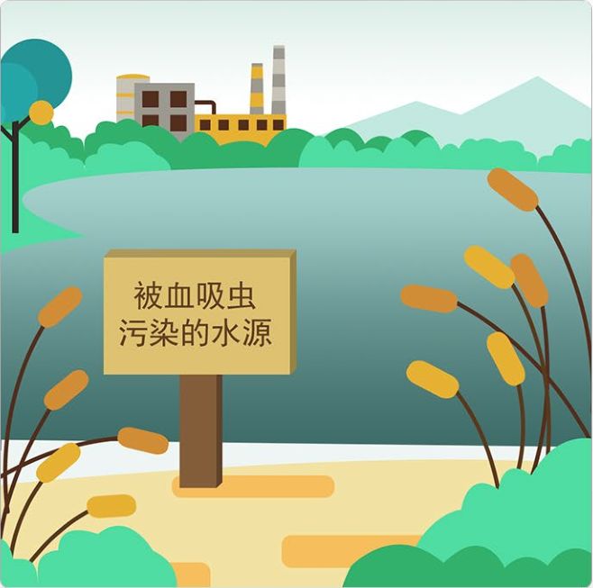 中国公民健康素养66条|第13条：在血吸虫病流行区，应尽量避免接触疫水；接触疫水后，应及时进行检查或接受预防性治疗。