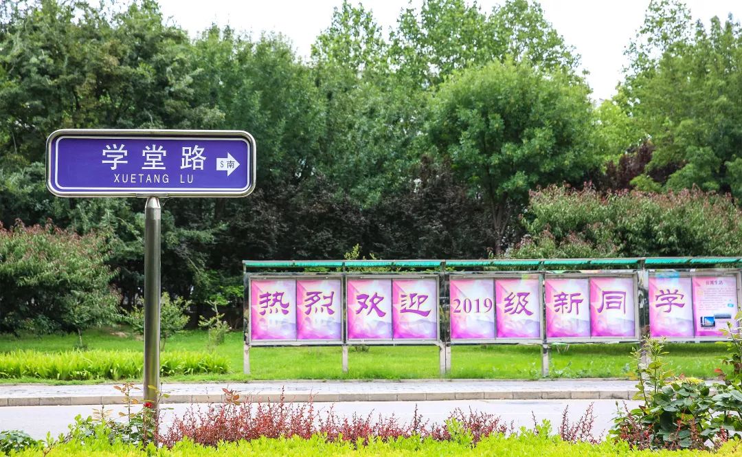 爱你已“九”∣快来领取你的清华报到攻略吧！