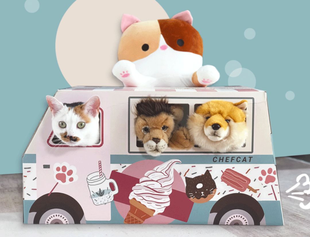 周末这样过总是嫌吃不够怎么办,周末总是过得很颓废