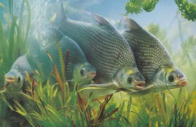 暴露你年纪的时候到了,暴露你的年龄的时候到了