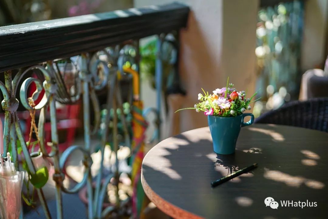 5家猫咖店200只猫，这对夫妻治愈无数武汉人