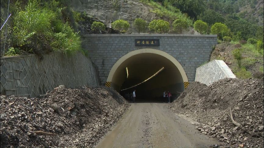 临安新好消息,临安区好消息