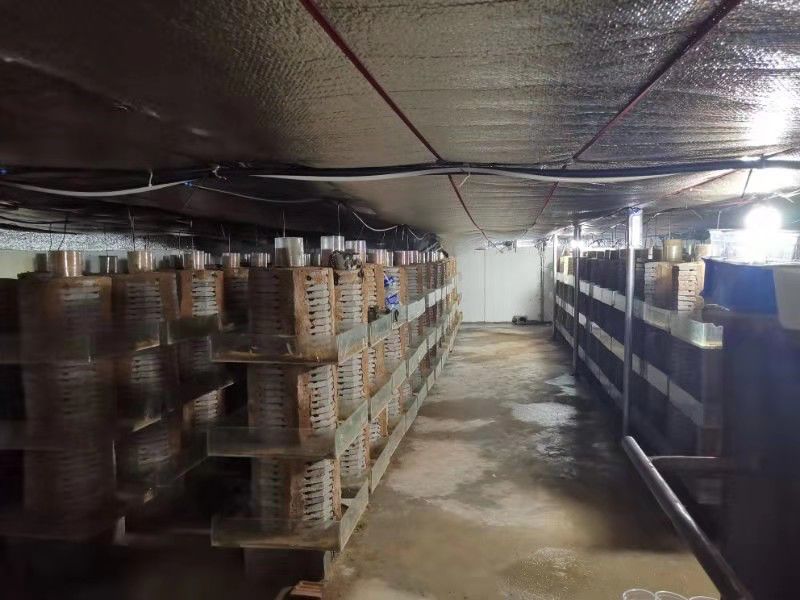 发展壮大村级集体经济工作会议,乡镇壮大集体经济典型案例