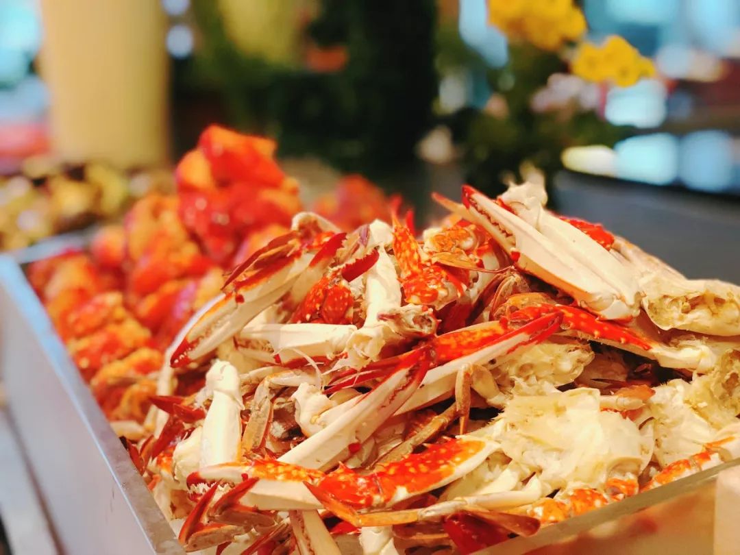 推荐浙江万豪酒店,浙江的宝藏城市