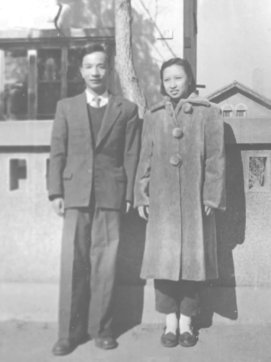 群星闪耀文武双全,群星闪耀时好看吗