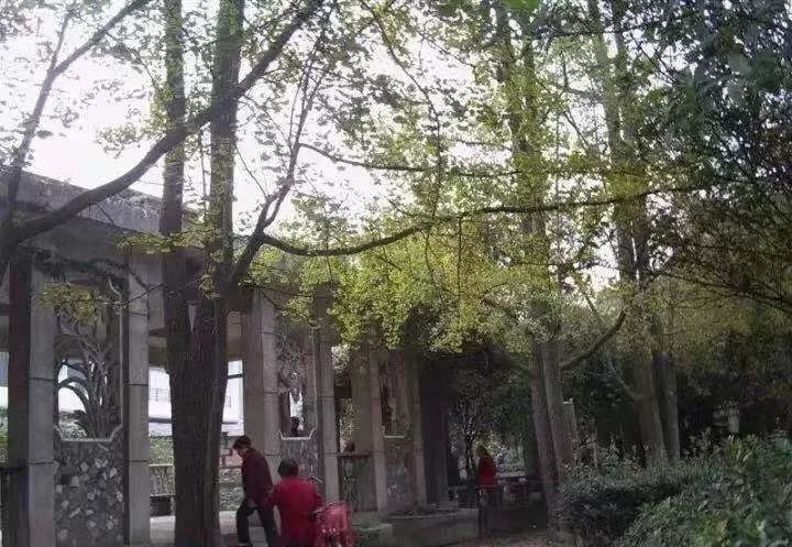 青白江生活怎么样,青白江生活真实感受