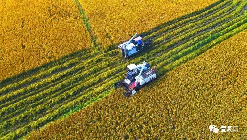 什么是喜欢才算真正喜欢,什么是周口市