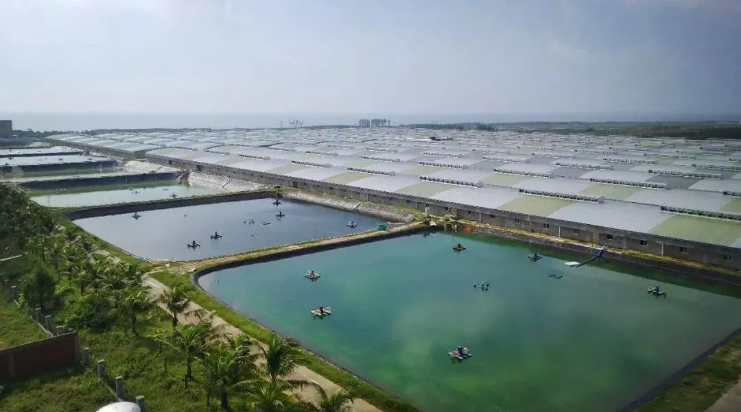 三大半岛之一的雷州半岛,为何发展不起来?