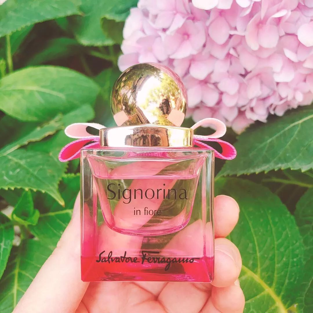 入手礼丨人肉种草机的真实体验让你永远买不了吃亏买不了上当