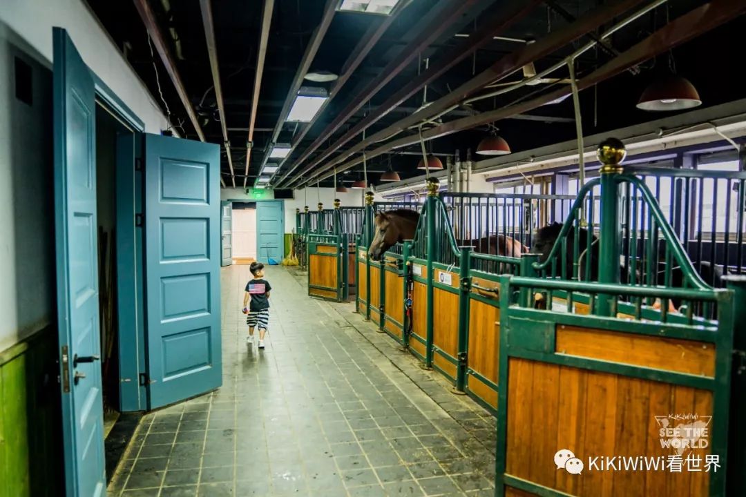 舟山威斯汀离普陀山远吗,舟山威斯汀对应的岛