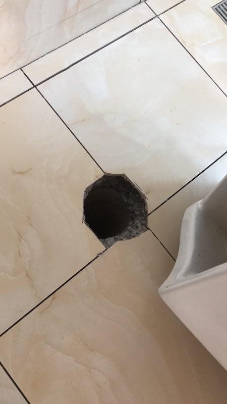 卫生间马桶下水道有异味怎么处理,卫生间马桶附近有异味