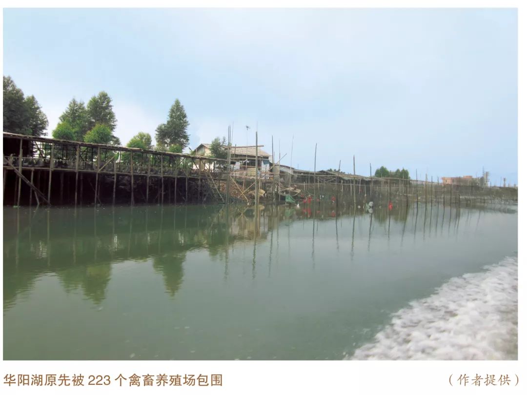 东莞生态环境整治,美丽中国排行榜前十名