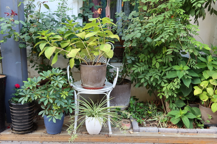 口袋vlog摄影机,口袋相机拍摄vlog视频