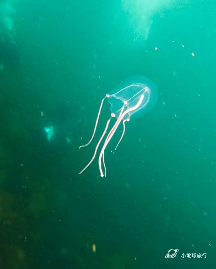 北极圈内的这个冷冽孤独秘境，一到冬天就成为欧洲摄影师的心头肉，国际地理封面就靠你了