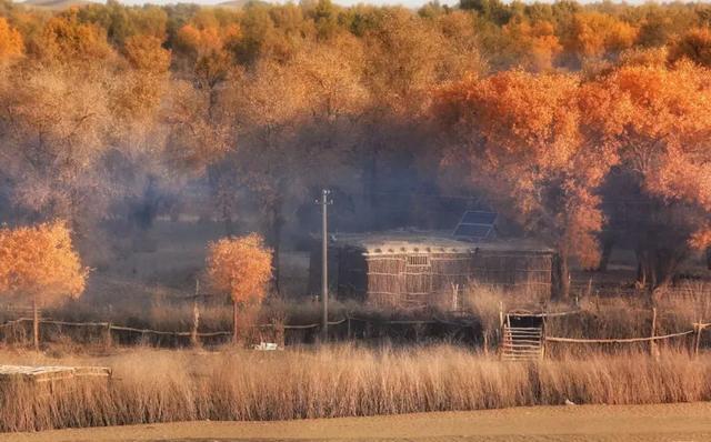 *疆新**于田县：中国最难到达村落！“死亡之海”腹地，消失2000余年