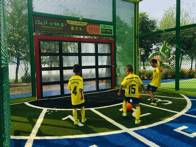 杨春湖社区足球场,洪山区武汉足球主题公园
