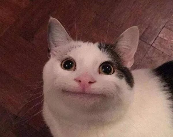 Ta在假笑么？这个识别算法可以鉴定