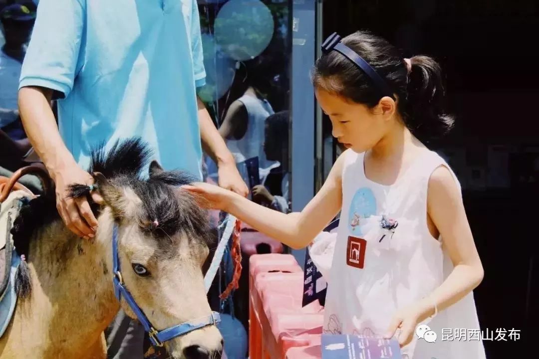 最新城乡规划建设,县城城市规划建设