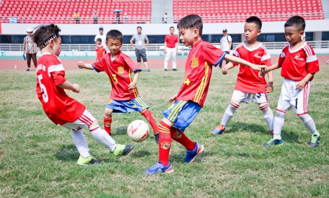 宁波镇海区幼儿园排名,宁波镇海五星级幼儿园