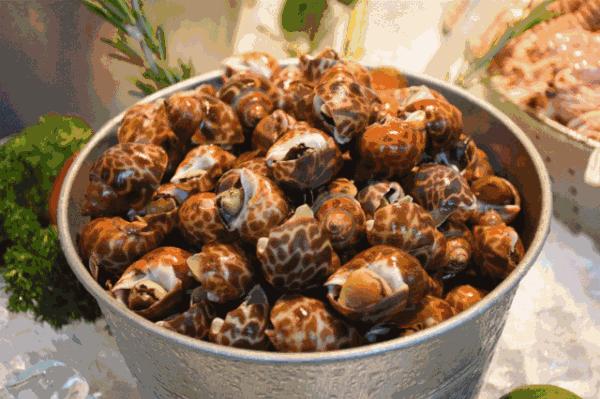 香港tvb经典打卡,香港湛江海鲜