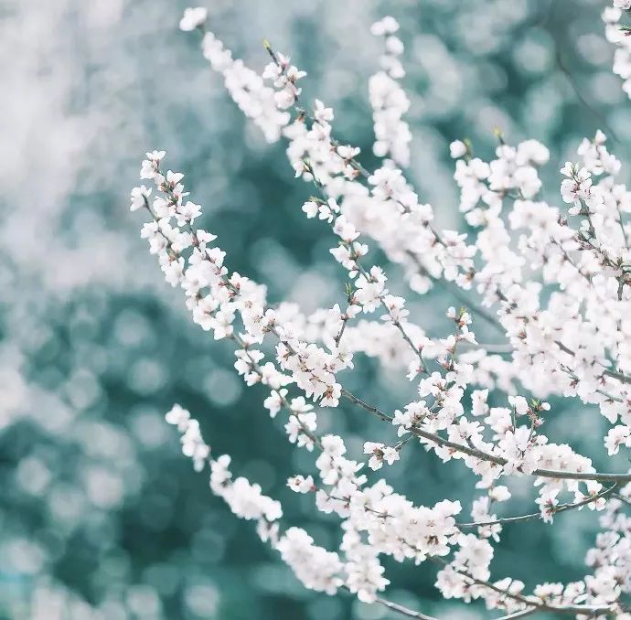 二年级摘抄排比句100条,排比句气势如虹