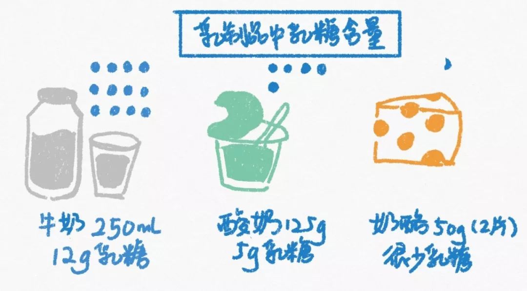 鲜牛奶和普通牛奶的营养差别大吗,牛奶的健康营养表