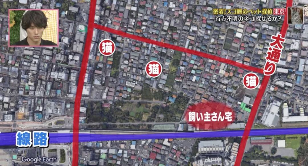 剪刀法找猫为什么灵验,剪刀找猫法的禁忌