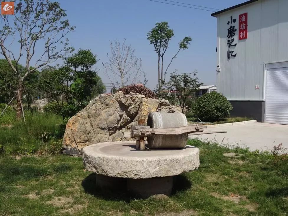 江苏徐州正宗睢宁小磨香油,最真实的小磨香油