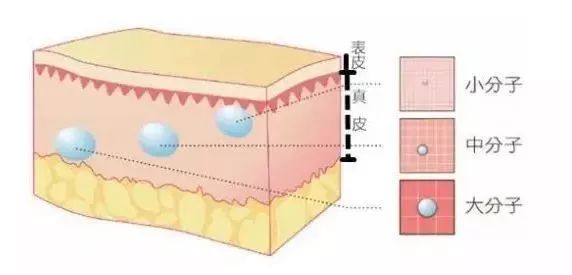 激荡三十年,激荡三十年解读