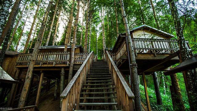 中亚五国旅行,中亚五国穿越东非