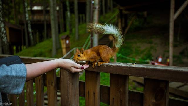 中亚五国旅行,中亚五国穿越东非