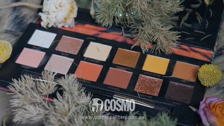 美人计|龙妈竟然用中国眼影化妆?等不及看外国代购来中国买买买了